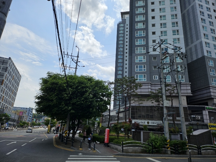 대전광역시 중구 계룡로 922, 201동 22층2203호 (문화동,문화동하우스토리2차)구) 대전광역시 중구 문화동 1-31 아파트 경매 사진 4