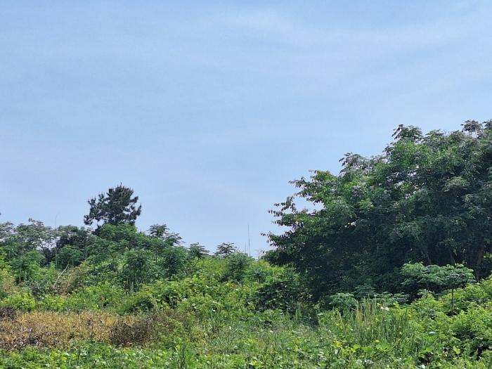 전라남도 영암군 신북면 월평리 342 전 경매 사진 2