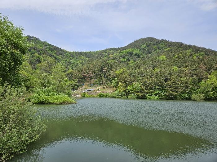 경상남도 김해시 진례면 청천리 1007 전 경매 사진 1