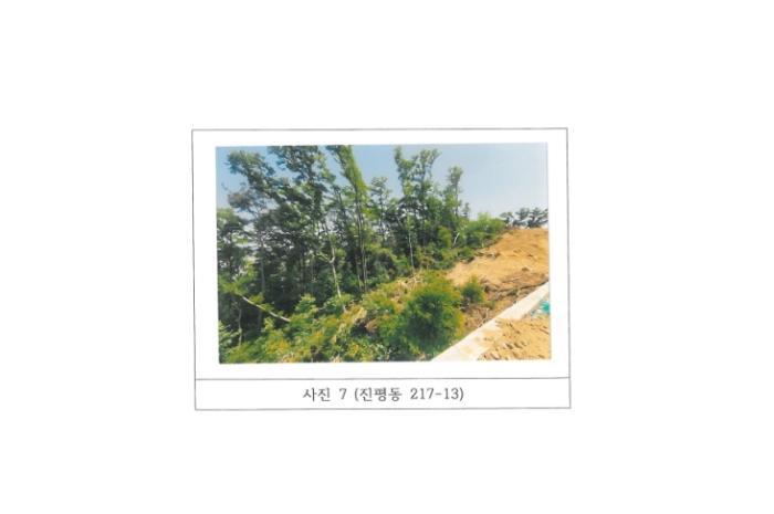 경상북도 구미시 진평동 217 묘지 경매 사진 17