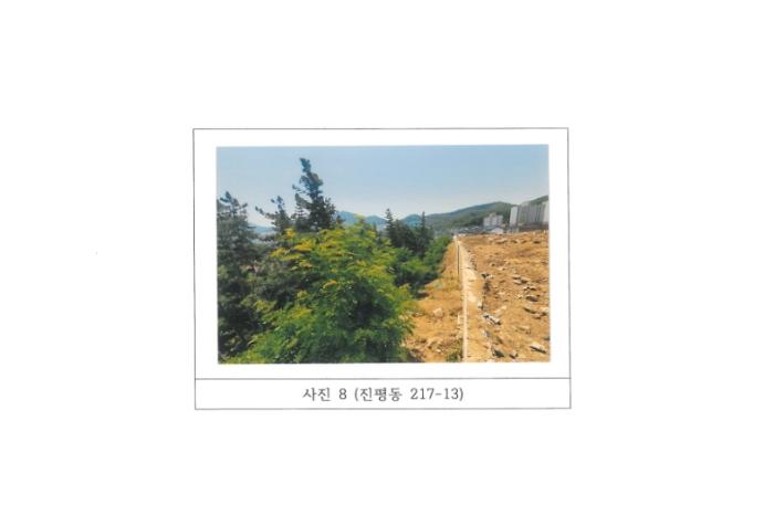 경상북도 구미시 진평동 217 묘지 경매 사진 18