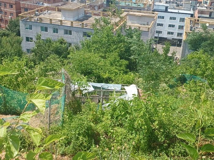 경상북도 구미시 진평동 217 묘지 경매 사진 5