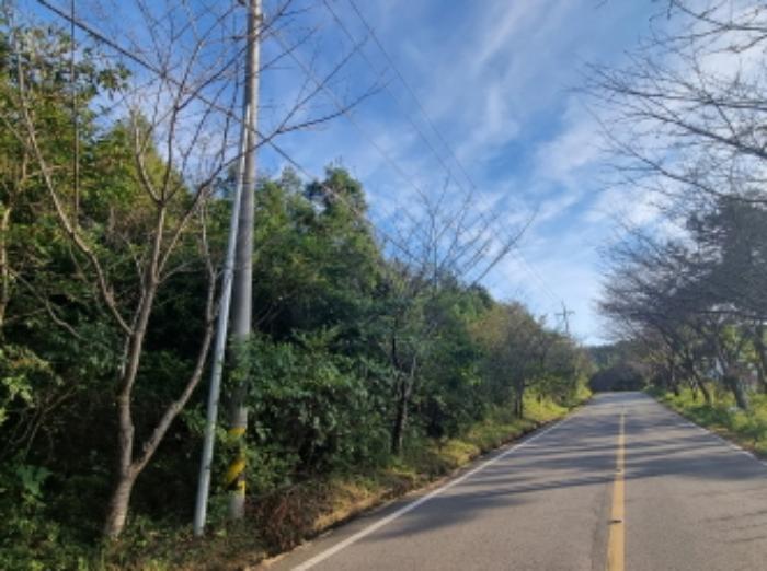 전라남도 여수시 화양면 이목리 1563 전 경매 사진 23
