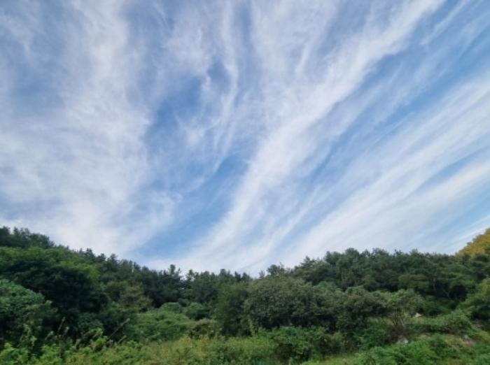 전라남도 여수시 화양면 이목리 1563 전 경매 사진 38