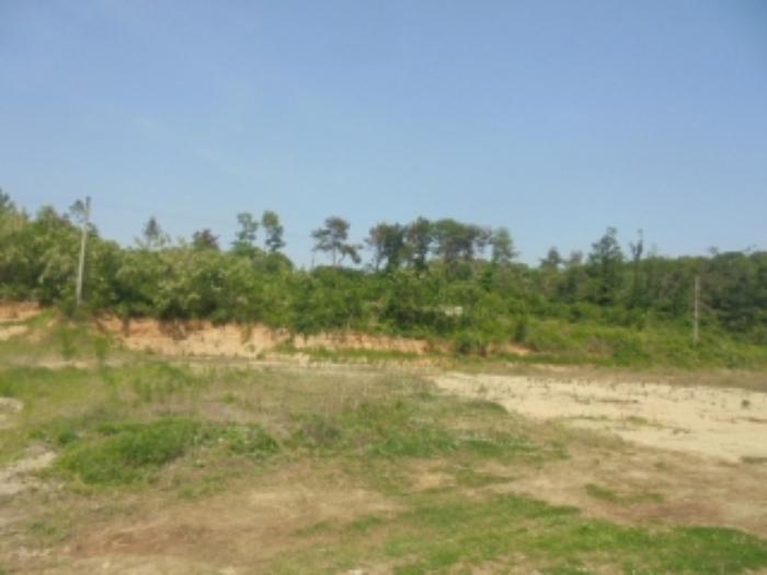 충청북도 음성군 삼성면 상곡리 483 전 경매 사진 10