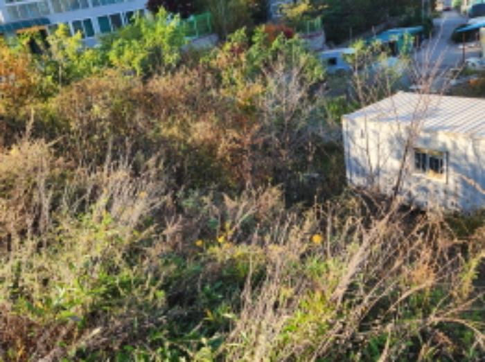 경기도 양주시 은현면 용암리 산55 임야 경매 사진 12