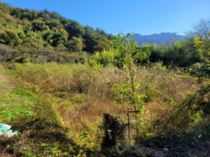 경상남도 하동군 고전면 고하리 945 전 경매 사진 42