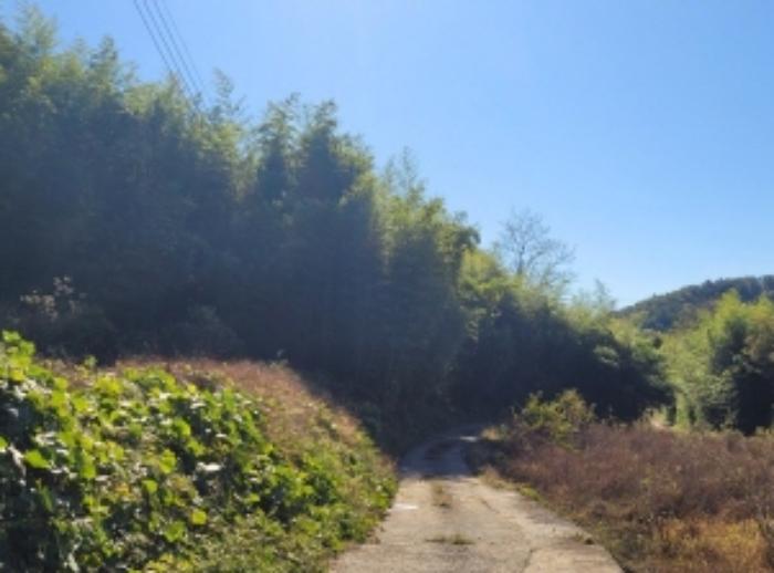 경상남도 하동군 고전면 고하리 945 전 경매 사진 44