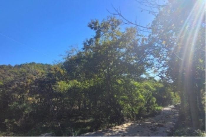 경상남도 하동군 고전면 고하리 945 전 경매 사진 48