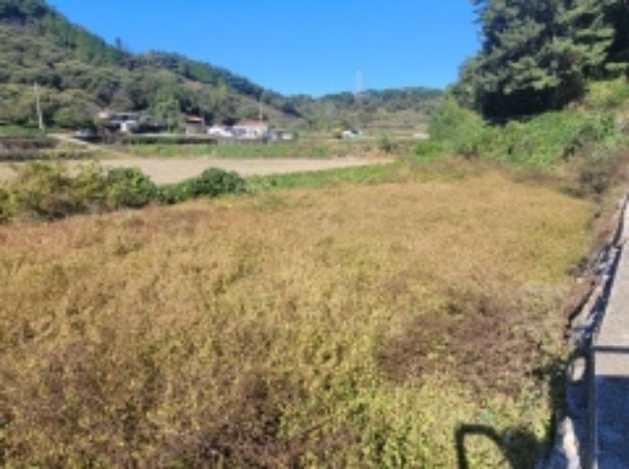경상남도 하동군 고전면 고하리 945 전 경매 사진 50