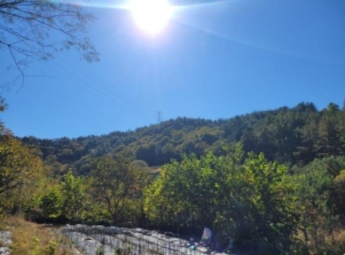 경상남도 하동군 고전면 고하리 945 전 경매 사진 53