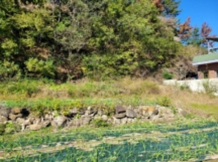 경상남도 하동군 고전면 고하리 945 전 경매 사진 61