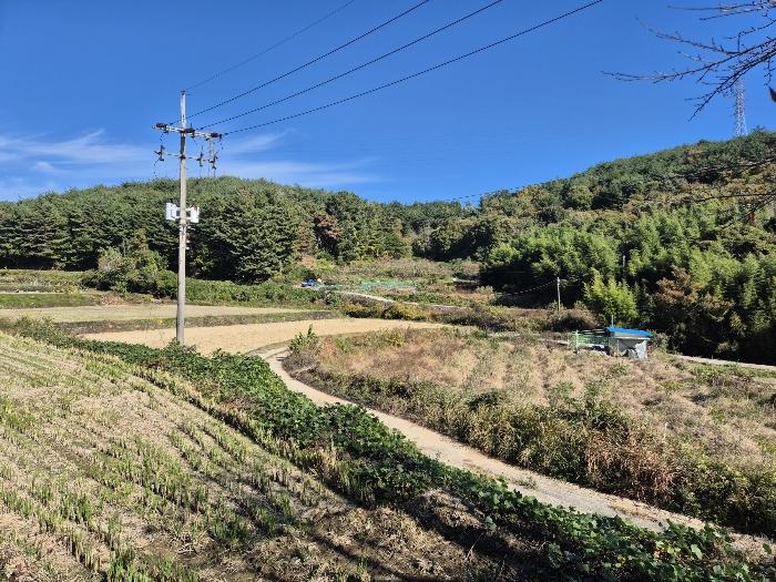 경상남도 하동군 금남면 계천리 14 답 경매 사진 35