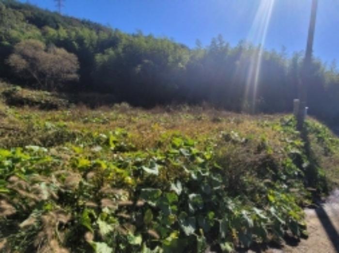 경상남도 하동군 금남면 계천리 14 답 경매 사진 46
