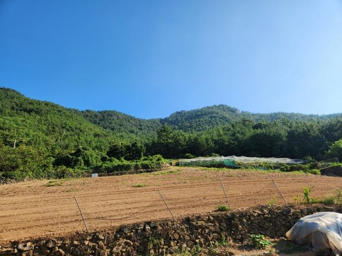 전남 여수시 임야