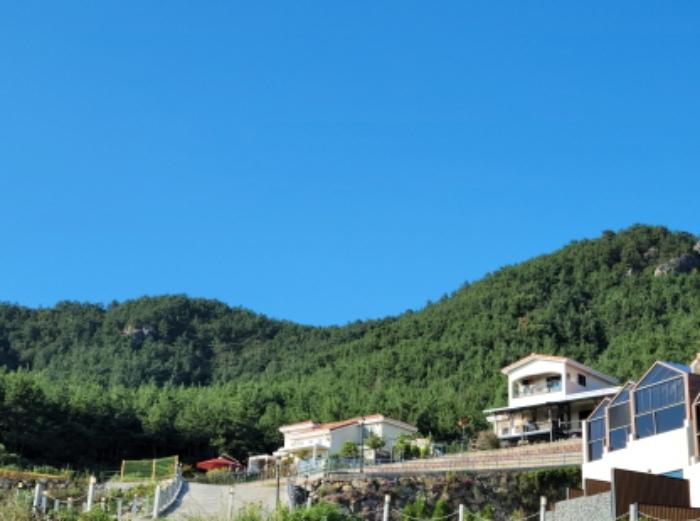 전라남도 여수시 화양면 이목리 산144-5 임야 경매 사진 3