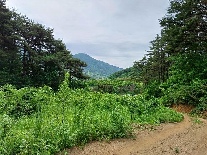 경상남도 산청군 삼장면 석남리 344 전 경매 사진 6