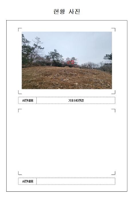 전라남도 신안군 지도읍 감정리 산37 임야 경매 사진 17