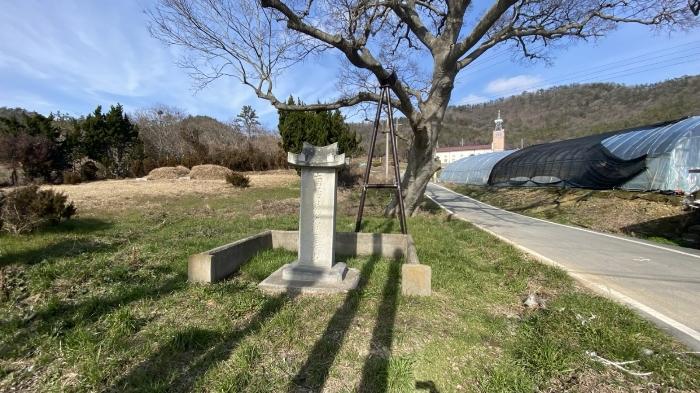 전라남도 신안군 지도읍 감정리 산37 임야 경매 사진 9