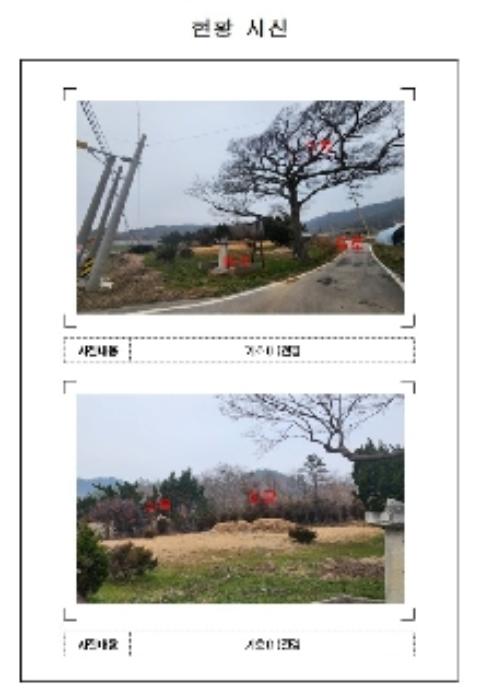 전라남도 신안군 지도읍 감정리 산50 임야 경매 사진 14
