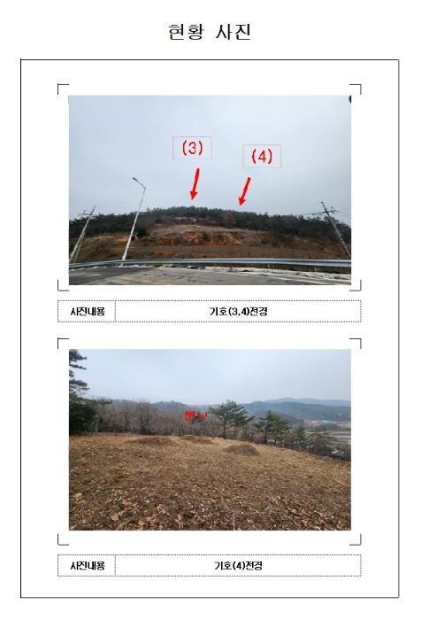 전라남도 신안군 지도읍 감정리 산50 임야 경매 사진 16
