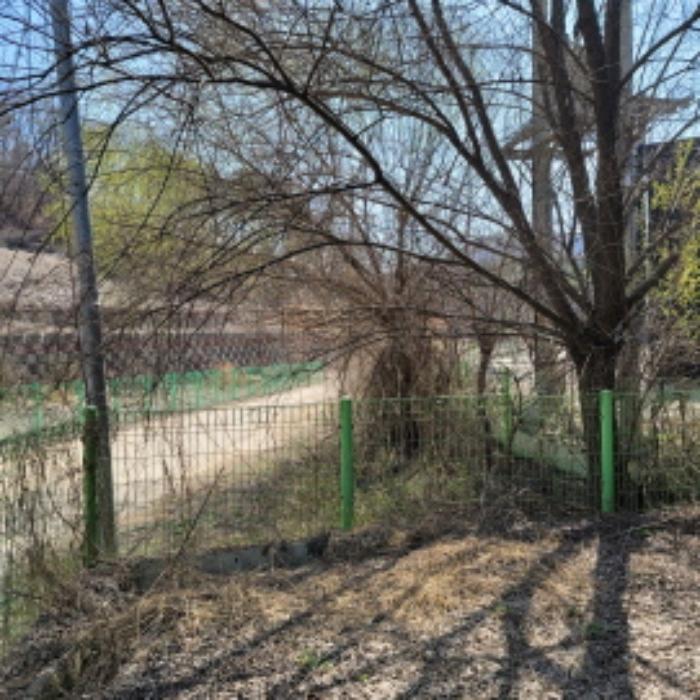 경기도 파주시 파평면 두포리 276-1 전 경매 사진 12