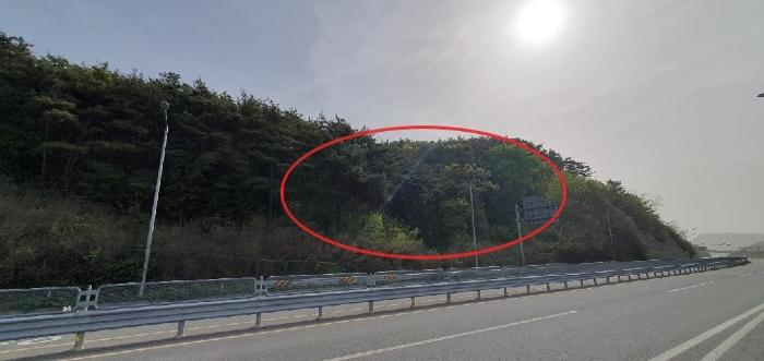 경상남도 창원시 마산합포구 구산면 반동리 산11-1 임야 경매 사진 1