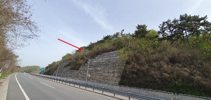 경상남도 창원시 마산합포구 구산면 반동리 산11-1 임야 경매 사진 2