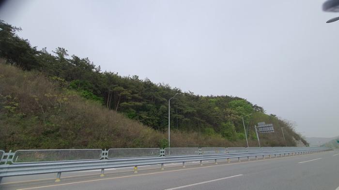 경상남도 창원시 마산합포구 구산면 반동리 산11-1 임야 경매 사진 5