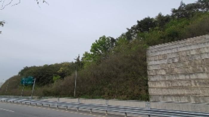 경상남도 창원시 마산합포구 구산면 반동리 산11-1 임야 경매 사진 7