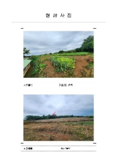 전라남도 함평군 손불면 학산리 661 전 경매 사진 14