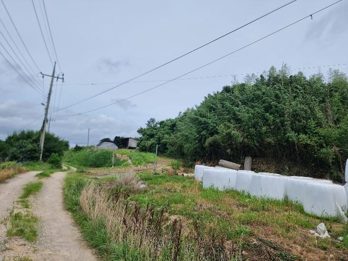 전라남도 함평군 손불면 학산리 661 전 경매 사진 6