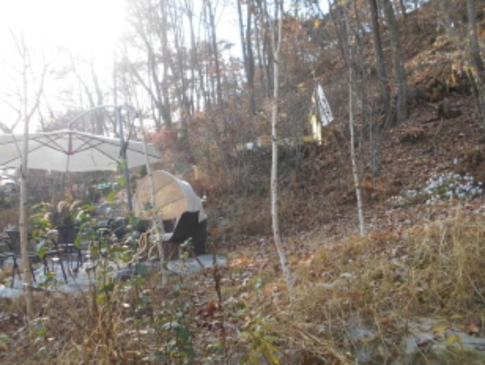 충청남도 금산군 부리면 수통리 728-6 전 경매 사진 33