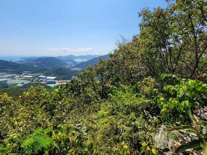 전라남도 여수시 임야