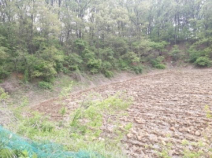 충청남도 당진시 송악읍 월곡리 112 답 경매 사진 26