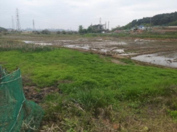 충청남도 당진시 송악읍 월곡리 112 답 경매 사진 30