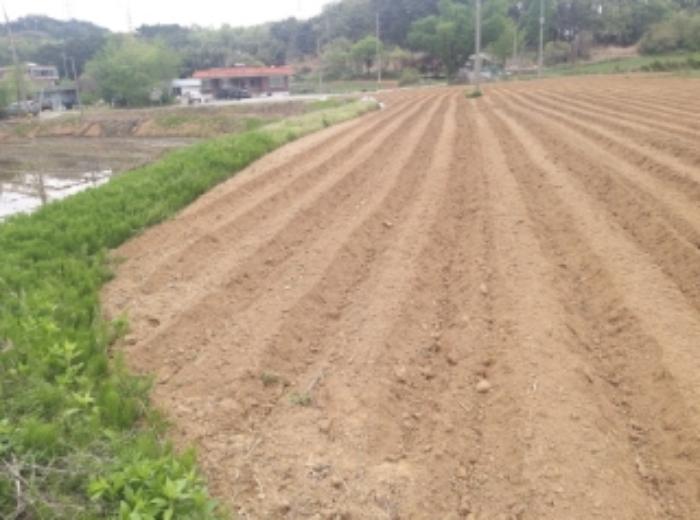 충청남도 당진시 송악읍 월곡리 112 답 경매 사진 35