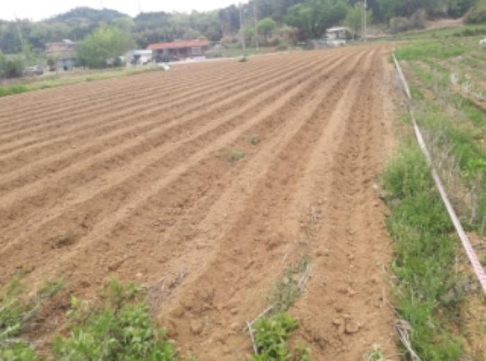 충청남도 당진시 송악읍 월곡리 112 답 경매 사진 38