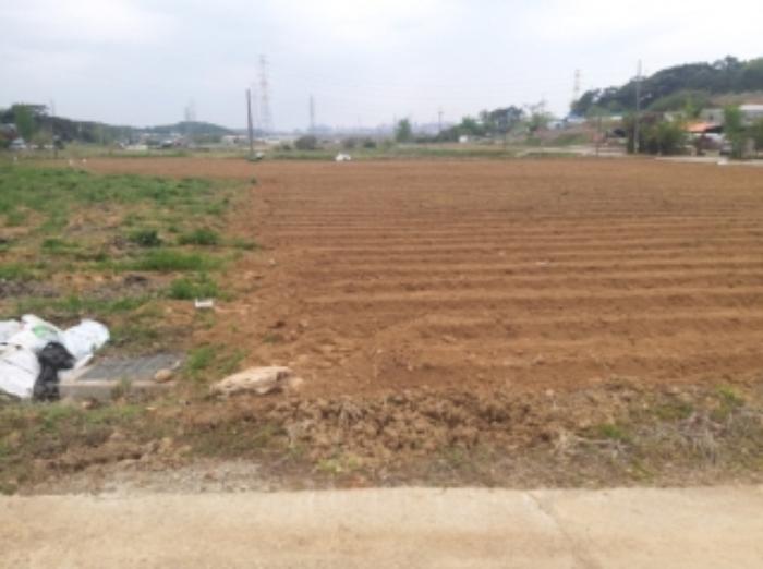 충청남도 당진시 송악읍 월곡리 112 답 경매 사진 49