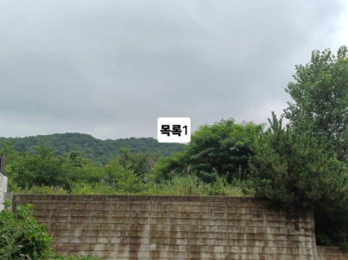 부산광역시 강서구 미음동 1527-2 대지 경매 사진 11