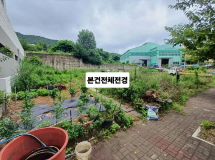 부산광역시 강서구 미음동 1527-9 대지 경매 사진 12