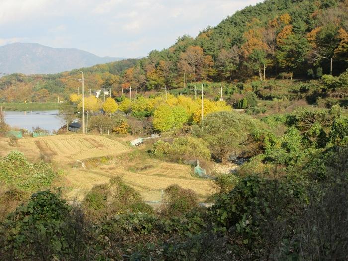경상남도 거제시 사등면 사등리 1212 전 경매 사진 25
