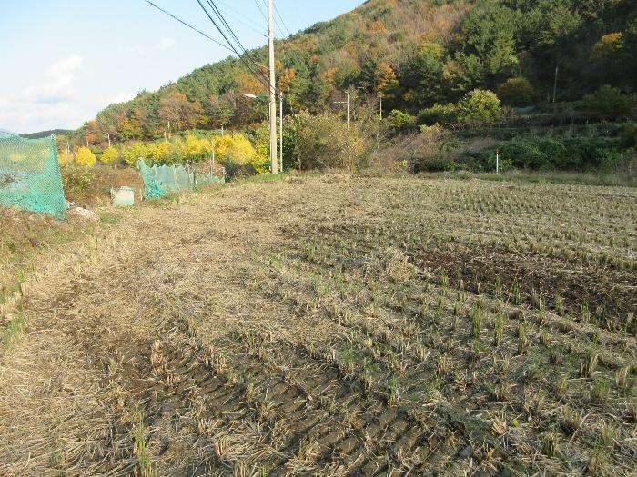 경상남도 거제시 사등면 사등리 1212 전 경매 사진 34
