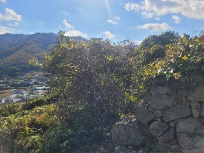 경상남도 거제시 사등면 사등리 1212 전 경매 사진 45