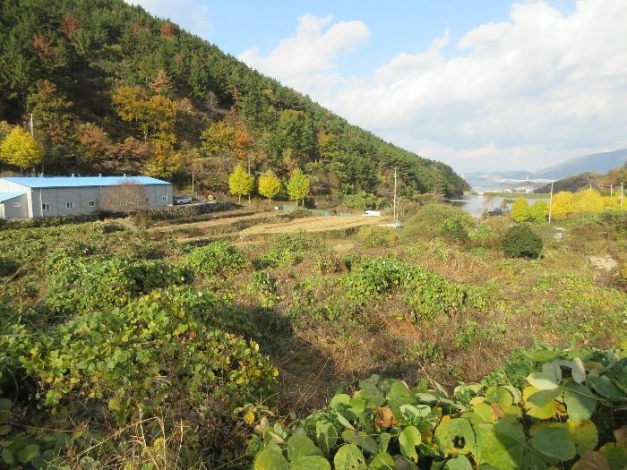 경상남도 거제시 사등면 사등리 1212 전 경매 사진 8