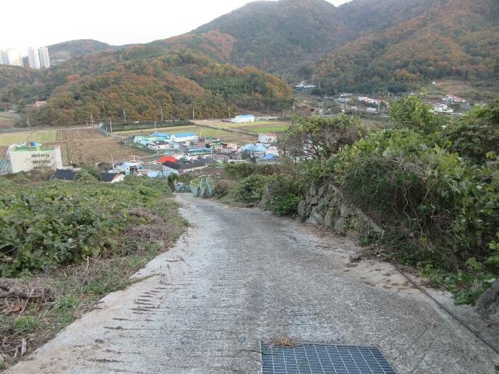 경상남도 거제시 사등면 사등리 1323-11 답 경매 사진 10