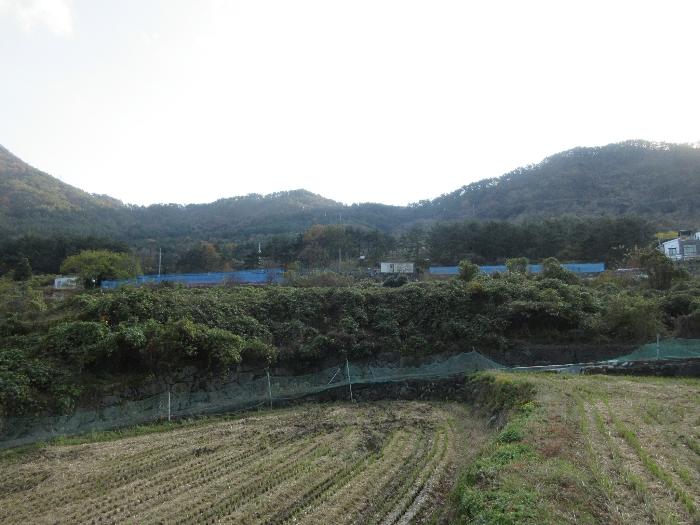 경상남도 거제시 사등면 사등리 1323-11 답 경매 사진 12