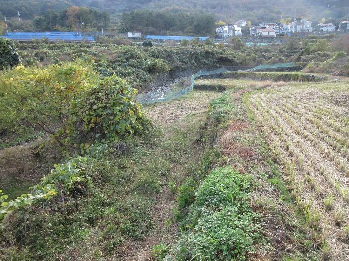 경상남도 거제시 사등면 사등리 1323-11 답 경매 사진 14