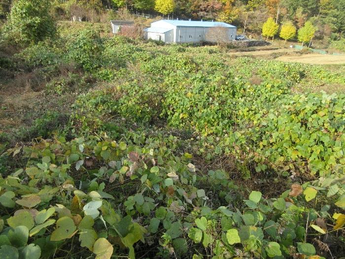 경상남도 거제시 사등면 사등리 1323-11 답 경매 사진 6