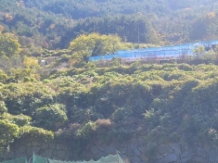 경상남도 거제시 사등면 사등리 1556 전 경매 사진 37